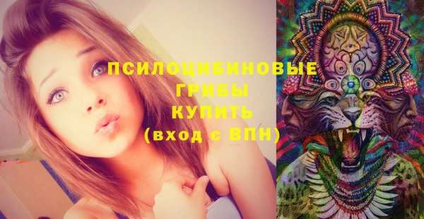 PSILOCYBIN Абаза