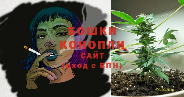 PSILOCYBIN Абаза