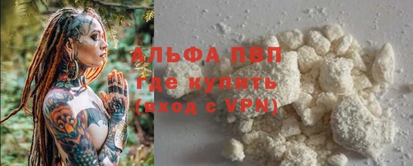 PSILOCYBIN Абаза