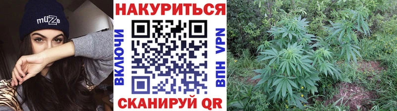 Канабис AK-47  как найти закладки  Лесозаводск 